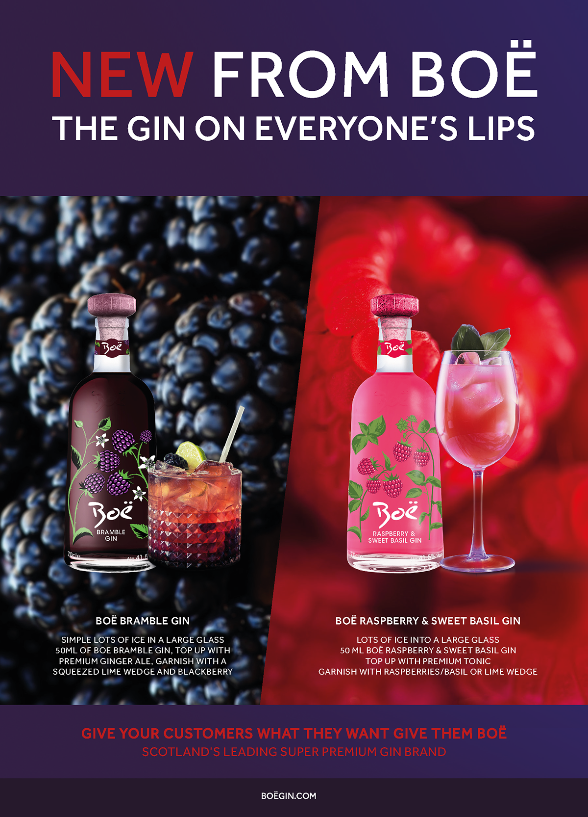 Boe Gins Boe Gins